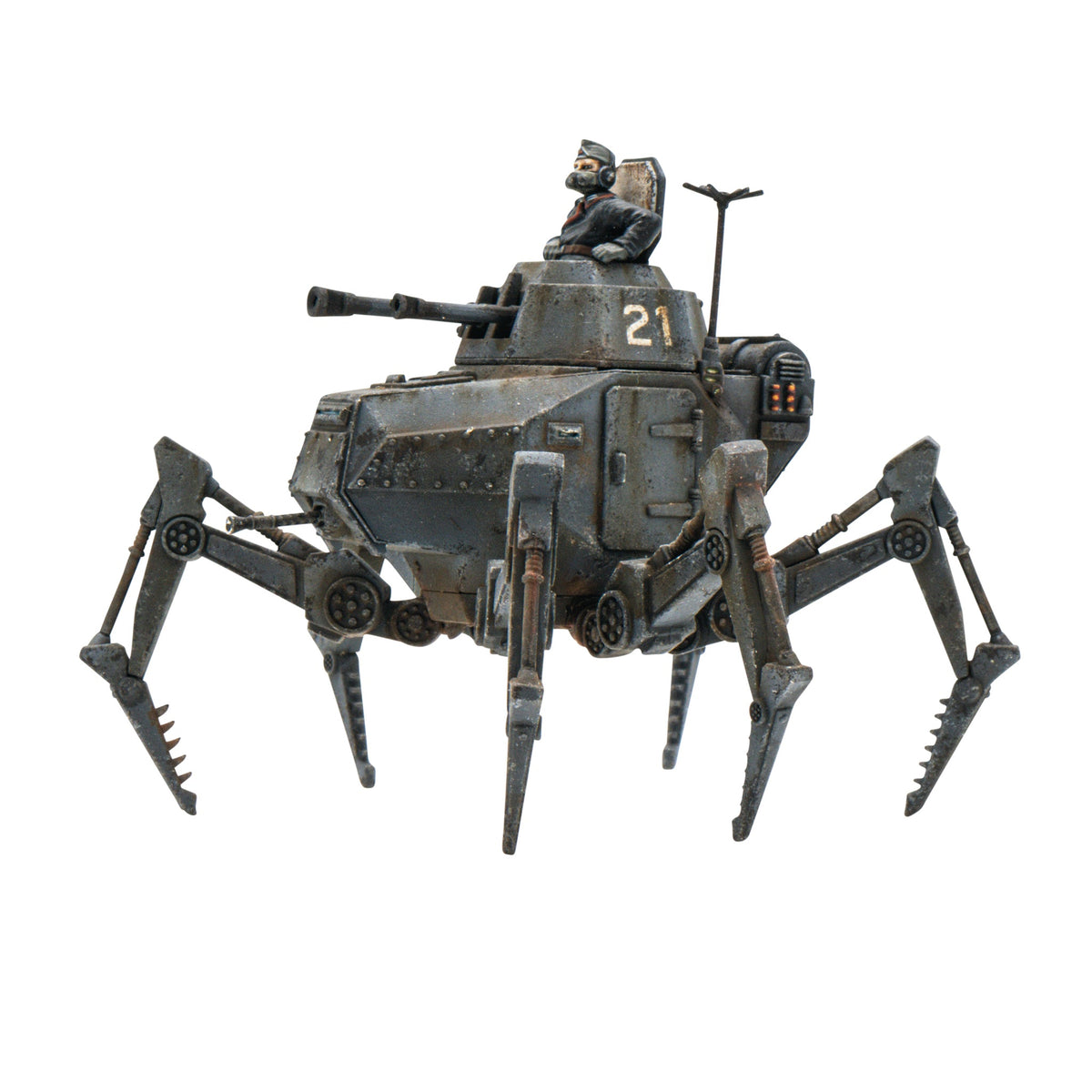 Vogelspinne Light Walker