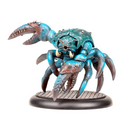 Brachyura