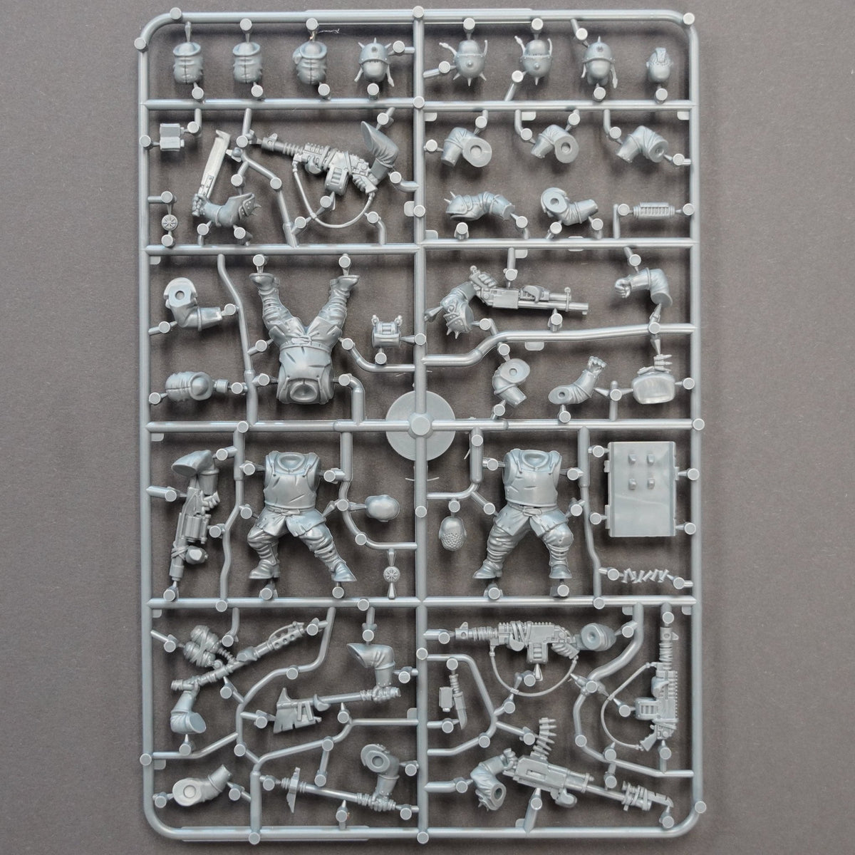 The Damned Brutes — official supplier image 4