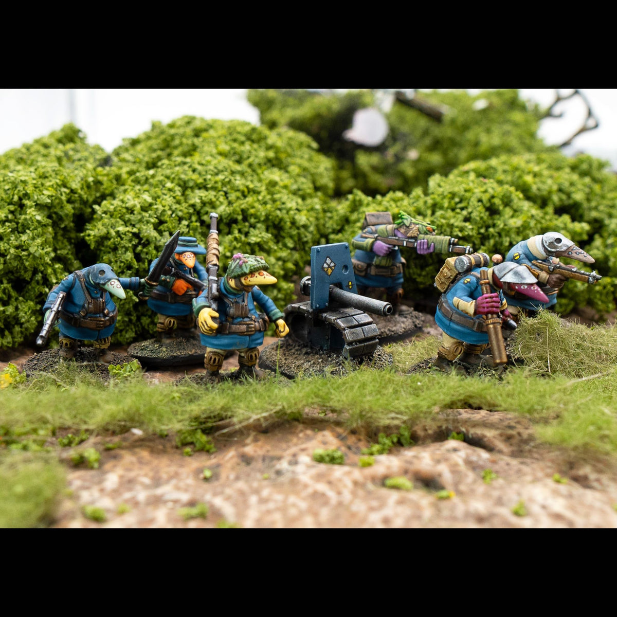 Coftyran Specialists — official supplier image 2