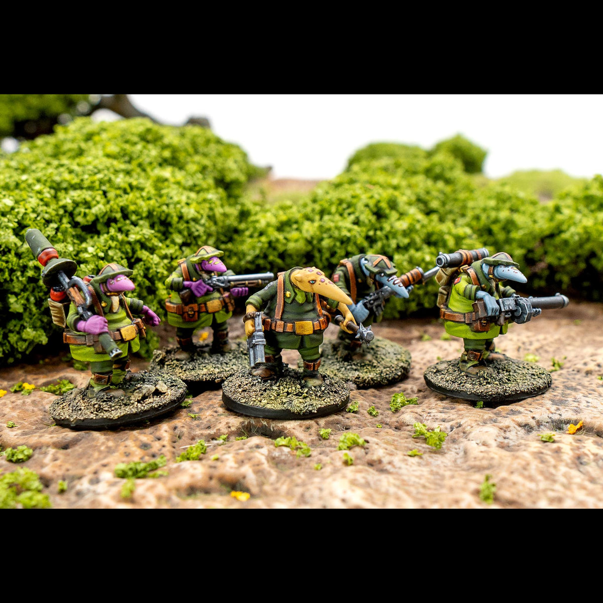 Crusader Specialists — official supplier image 4