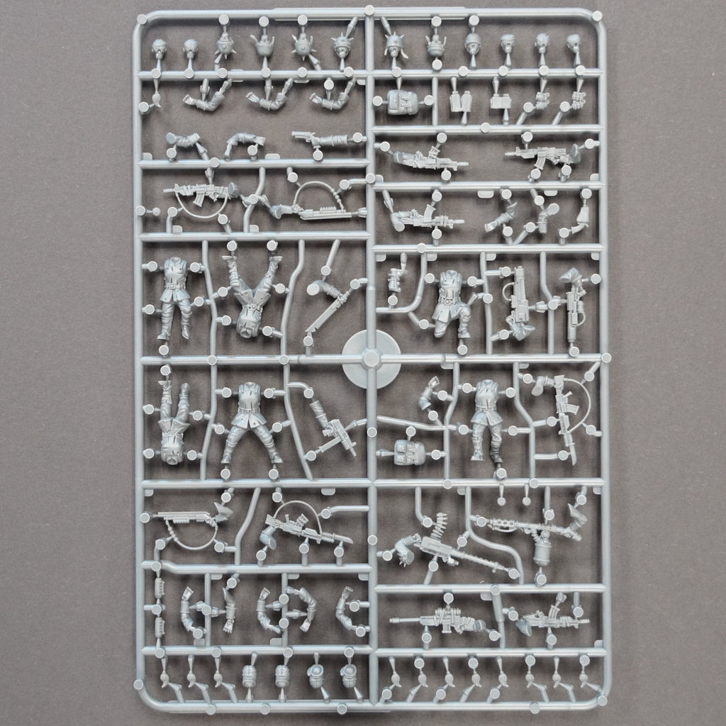 The Damned Female Infantry — official supplier image 4