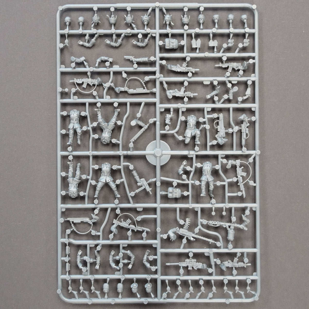 The Damned Female Infantry — official supplier image 4