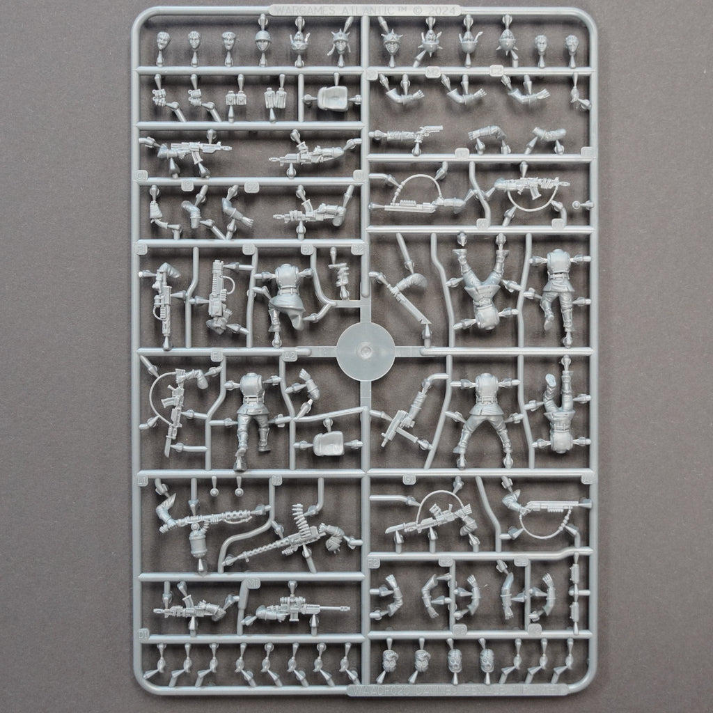 The Damned Female Infantry — official supplier image 3