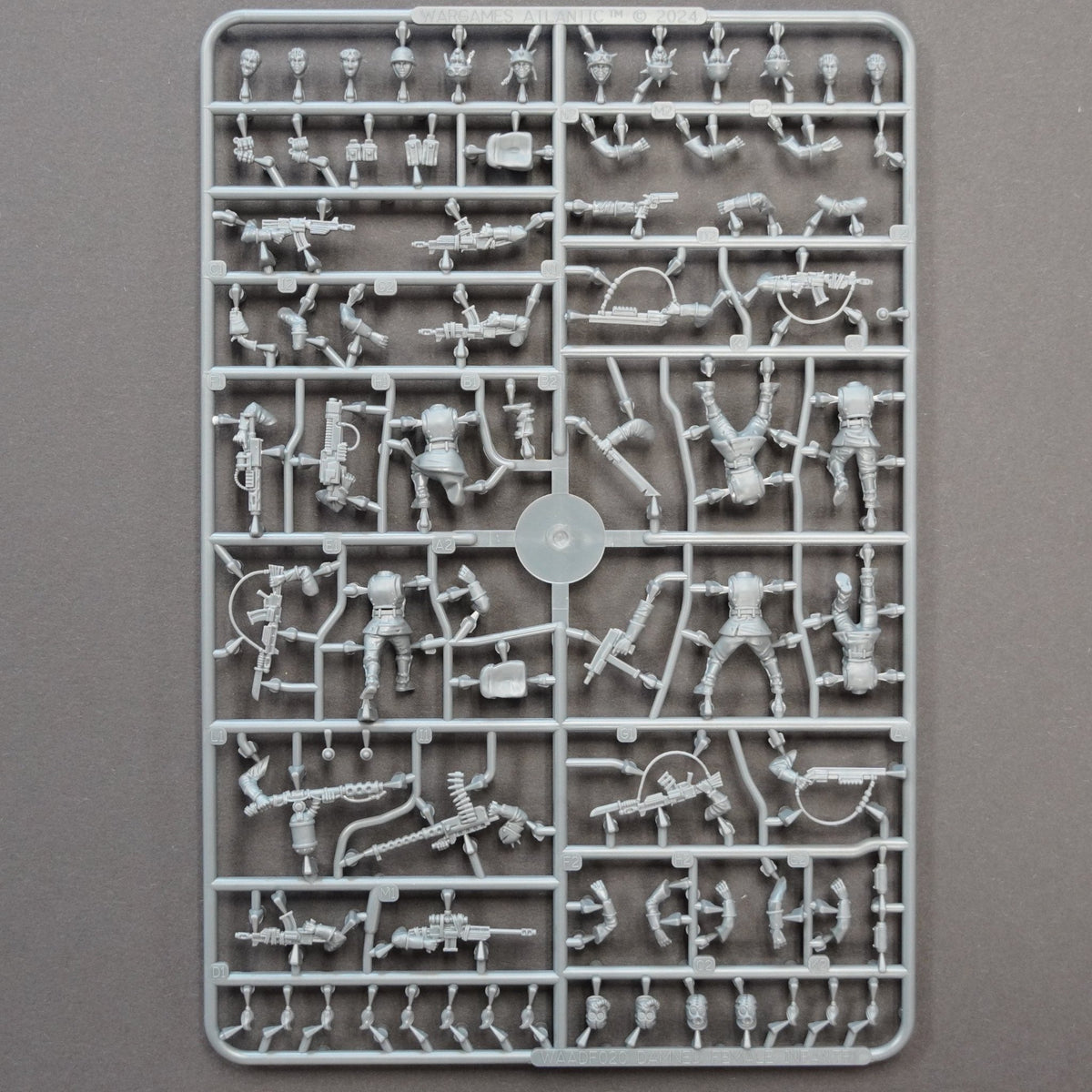 The Damned Female Infantry — official supplier image 3