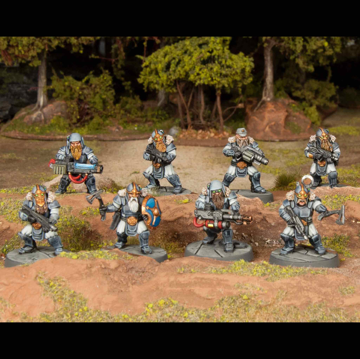 Einherjar — official supplier image 2
