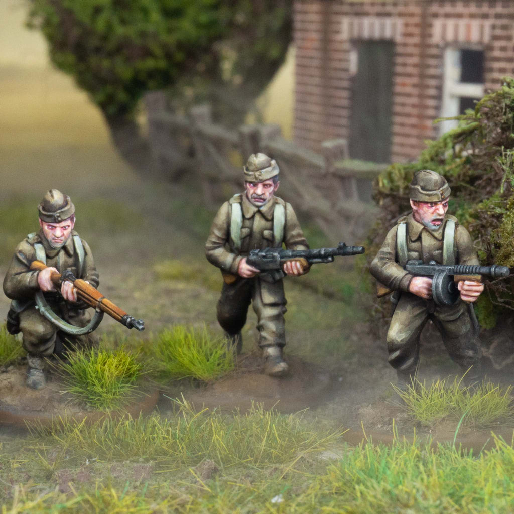 British Expeditionary Force — official supplier image 3