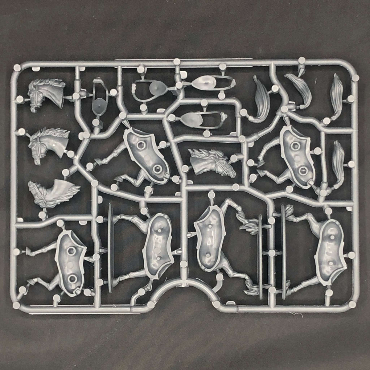 Light Horses — official supplier image 3