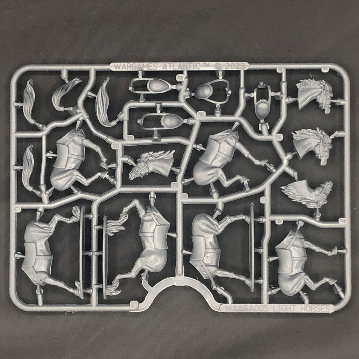 Light Horses — official supplier image 2
