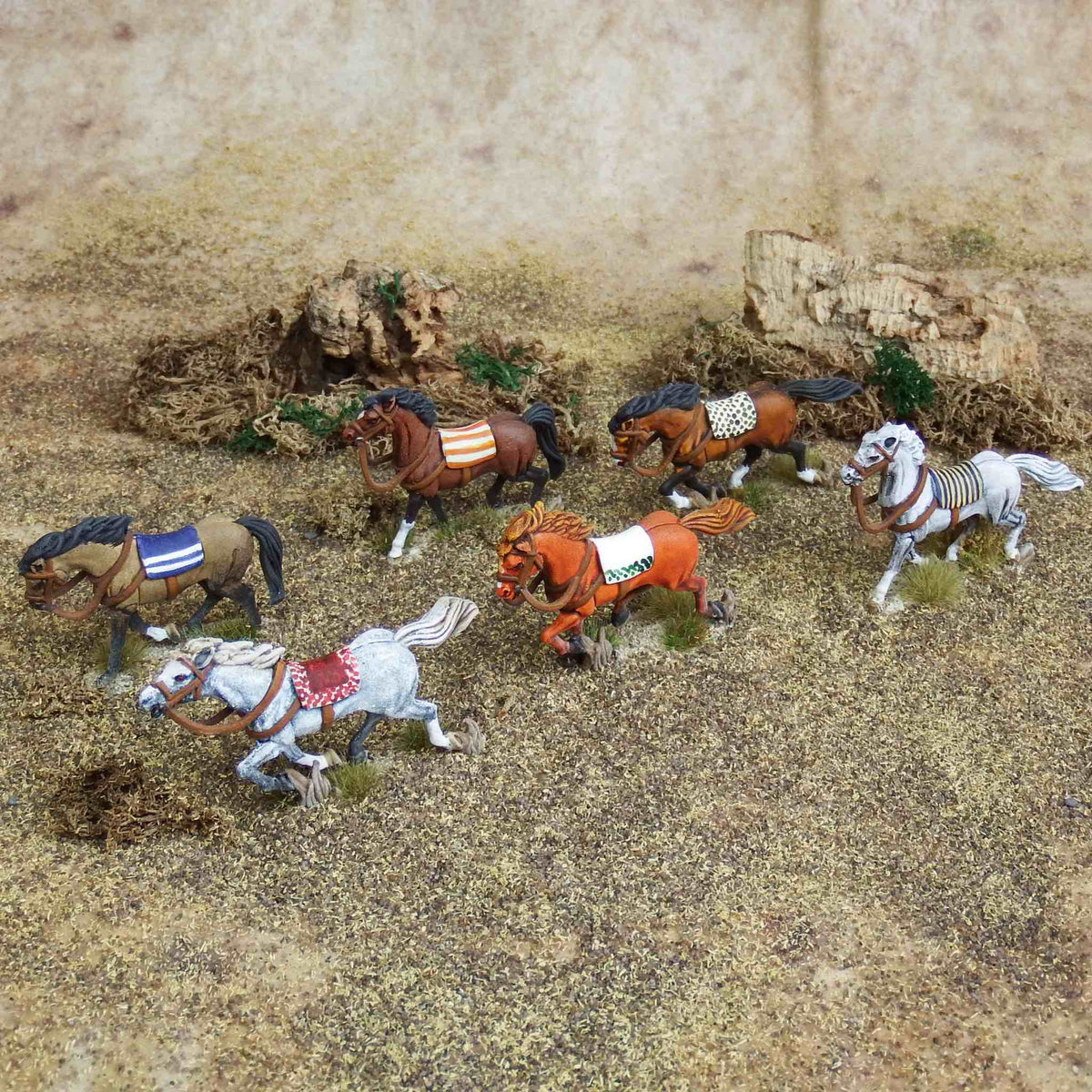 Light Horses — official supplier image 4