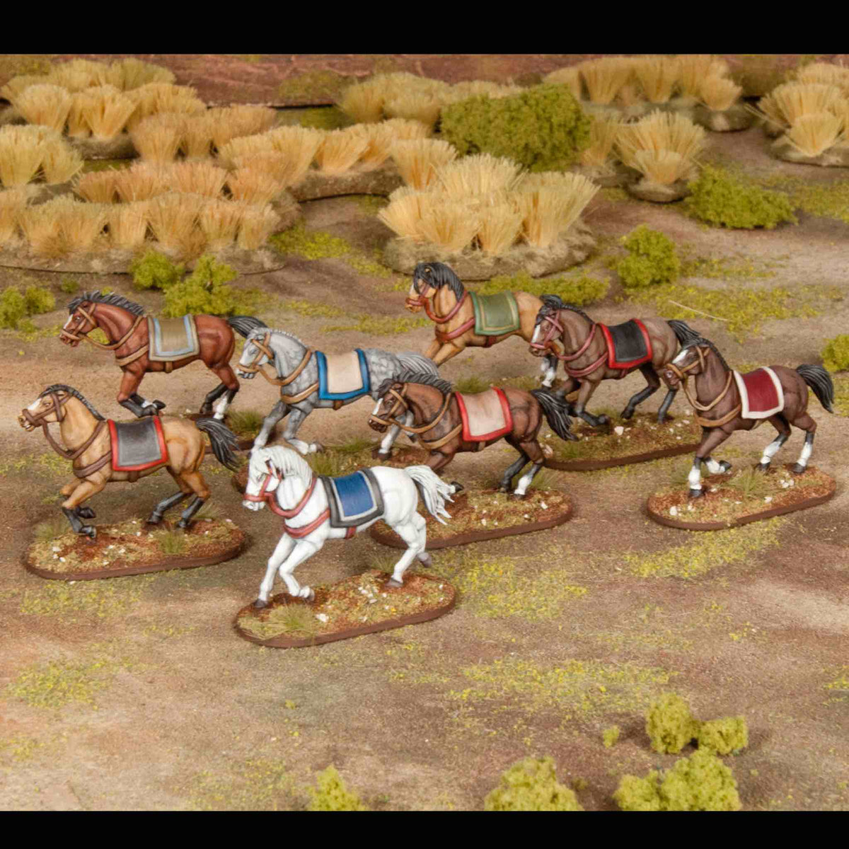 Horses — official supplier image 2