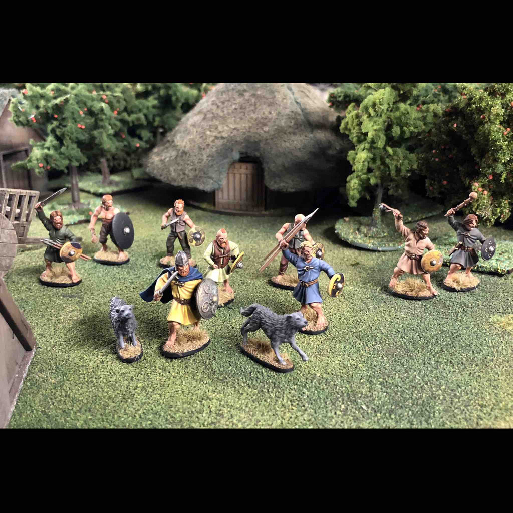 Dark Age Irish Warriors — official supplier image 4