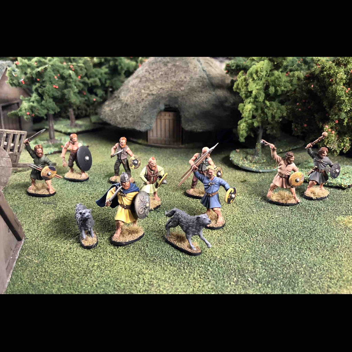 Dark Age Irish Warriors — official supplier image 4