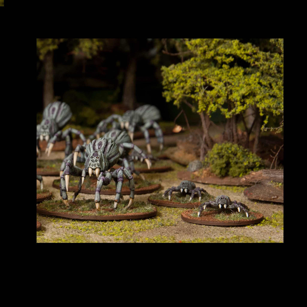 Giant Spiders — official supplier image 3