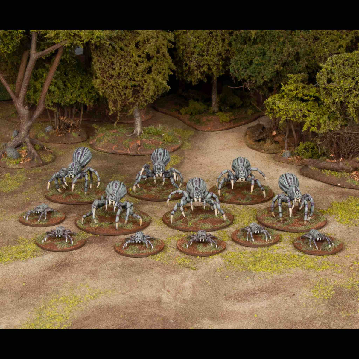Giant Spiders — official supplier image 4
