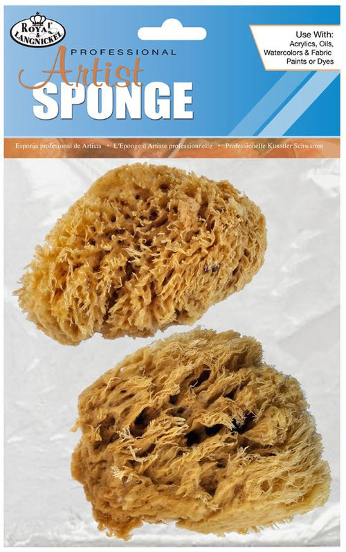 2-Pack Large Sea Wool Sponge 2097 All Natural