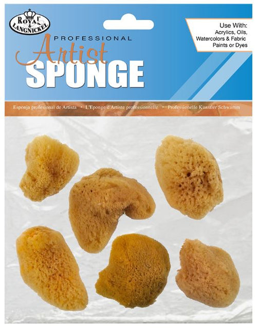 6 Small Sea Silk Sponge R2114 All Natural