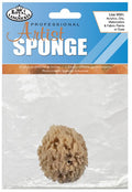 Single Small Sponge Pack R2013