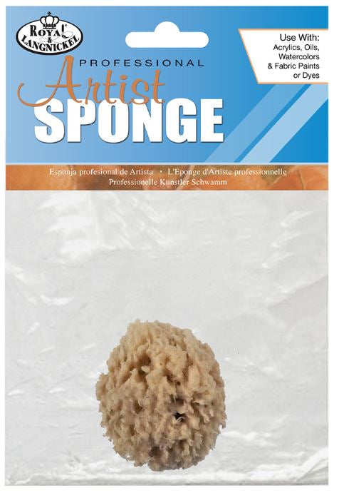 Single Small Sponge Pack R2013