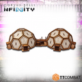 Geodesic Domes