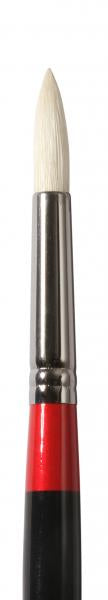 DALER-ROWNEY Georgian Brush Round G24-6