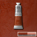 Winsor & Newton Winton 37 ml Light Red 8840594