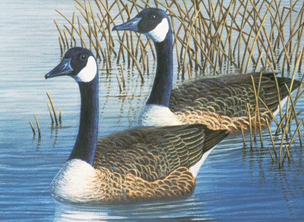 Royal & Langnickel Geese Large Paint By Numbers Pal35