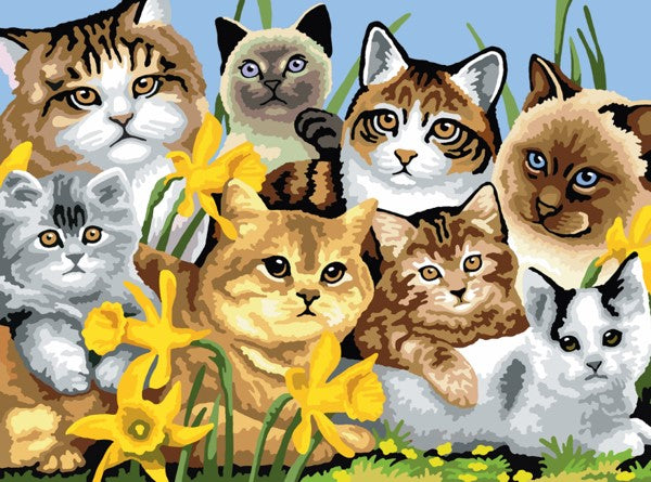 Royal & Langnickel Cats Montage Junior Paint By Numbers Pjl6