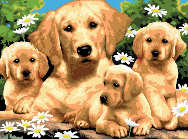 Royal & Langnickel Golden Retrievers Junior Paint By Numbers Pjl12