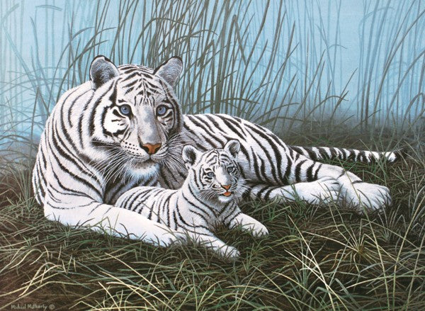 Royal & Langnickel White Tigers In The Junior Paint By Numbers Pjl22