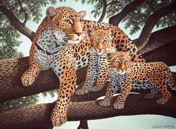 Royal & Langnickel African Leopard & Cub Junior Paint By Numbers Pjl24