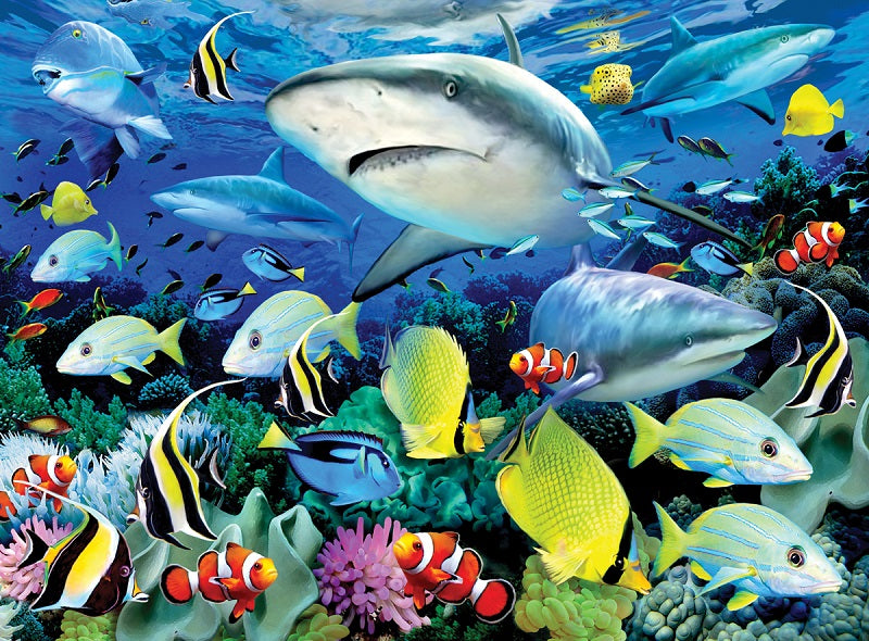 Royal & Langnickel Reef Sharks Large Junior Paint By Numbers Pjl42