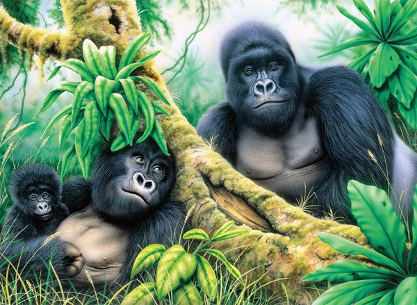 Royal & Langnickel Mountain Gorillas Junior Paint By Numbers Pjl46