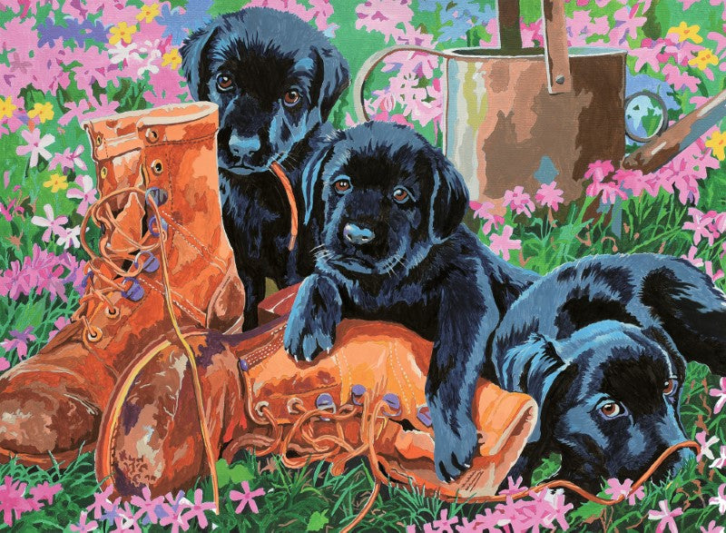R&L Trouble In The Garden Junior Paint By Numbers Pjl52