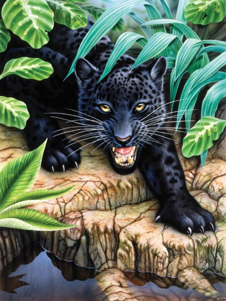Royal & Langnickel Black Leopard Small Junior Paint By Numbers Pjs42