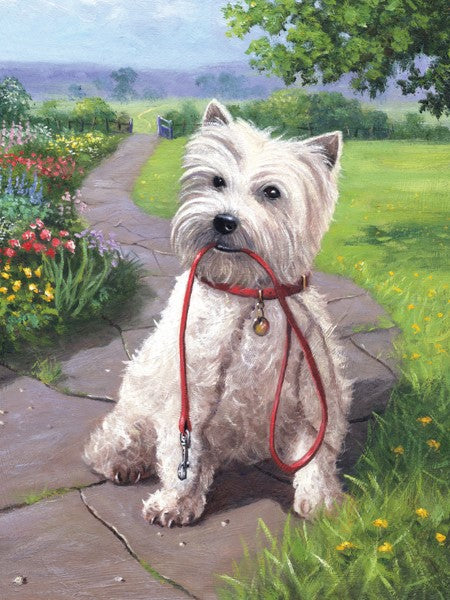 Royal & Langnickel Time For A Walk Small Junior Paint By Numbers Pjs49