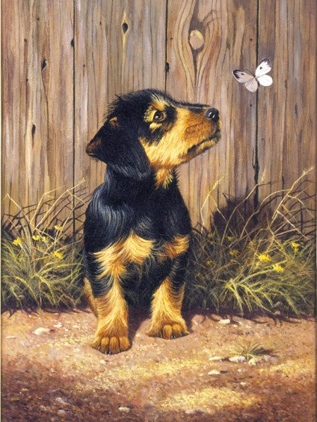 Royal & Langnickel Dachshund Puppy Small Junior Paint By Numbers Pjs51