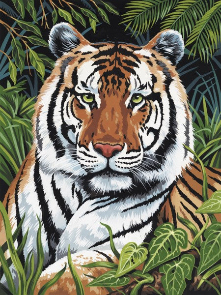 Royal & Langnickel Tiger In Hiding Small Junior Paint By Numbers Pjs75