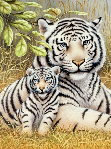 Royal & Langnickel White Tiger Pair Small Junior Paint By Numbers Pjs76