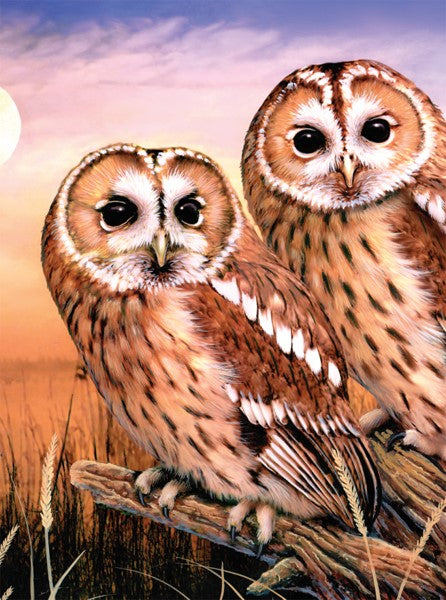 Royal & Langnickel Tawny Owls Small Junior Paint By Numbers Pjs87