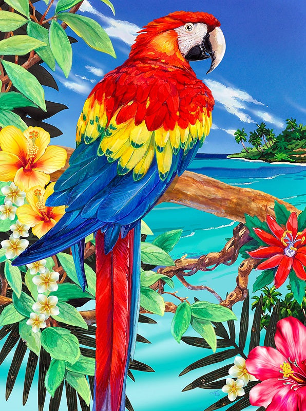 Royal & Langnickel Scarlet Macaw Small Junior Paint By Numbers Pjs92