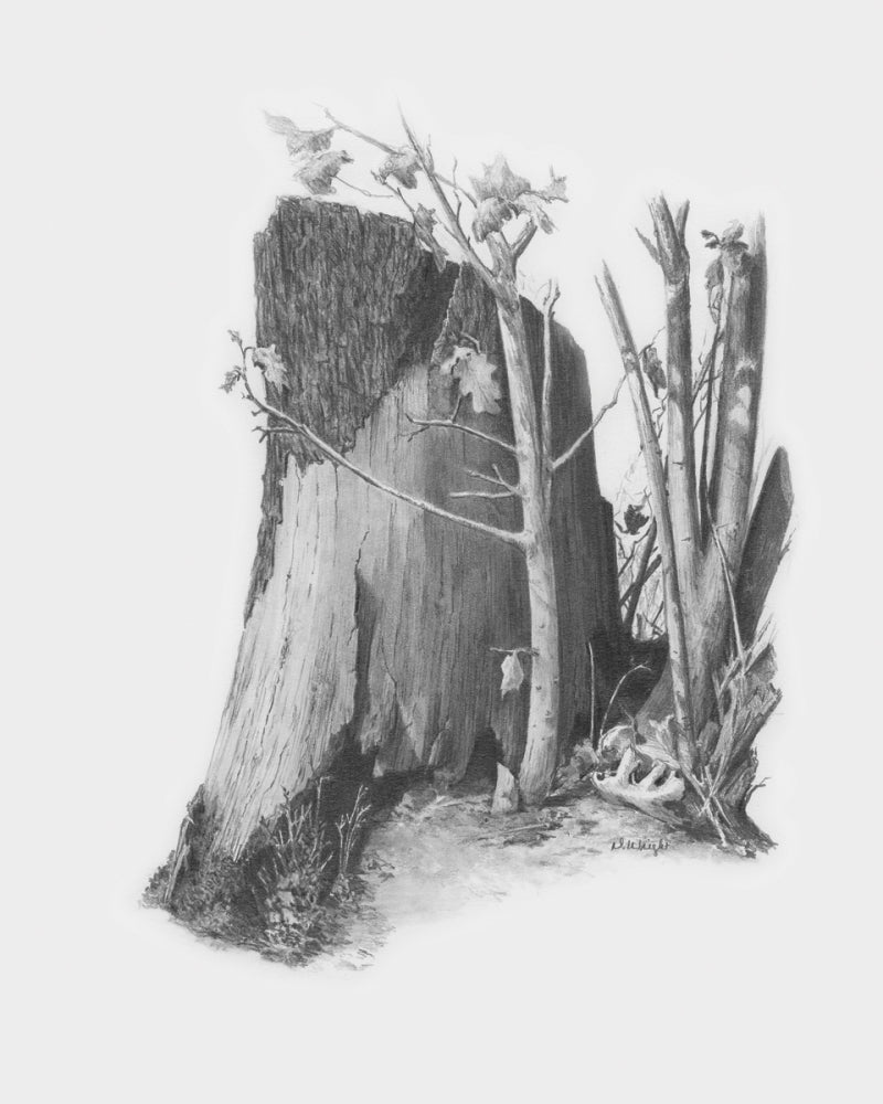 R&L Sketching Made Easy - Tree Stump Skbn9