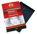 Progresso Graphite Pencils 2B